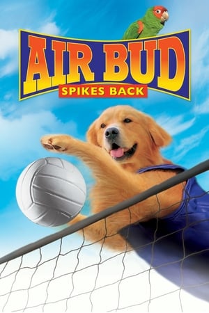 Image Air Bud: Spikes Back