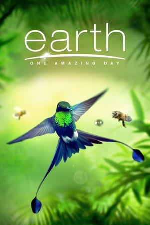 Image Earth: One Amazing Day