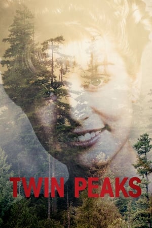 Image Mestečko Twin Peaks