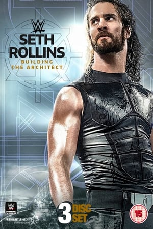 Image Seth Rollins: Building the Architect
