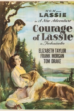 Image Courage of Lassie