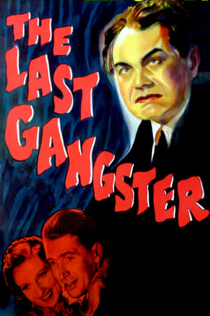 Image The Last Gangster