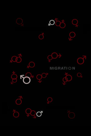 Image Migration