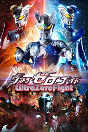 Image Ultra Zero Fight