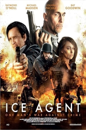 Image ICE Agent