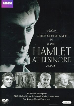 Image Hamlet at Elsinore