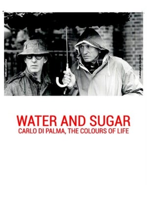 Image Water and Sugar: Carlo Di Palma, the Colours of Life