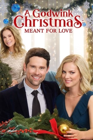 Image A Godwink Christmas: Meant For Love