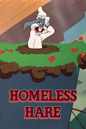 Image Homeless Hare