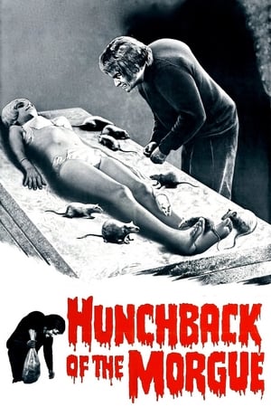 Image The Hunchback of the Morgue