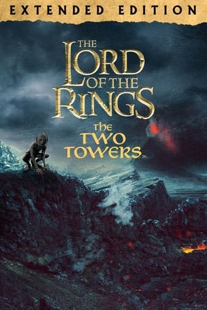 Image The Two Towers (Extended Edition)