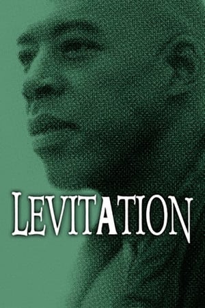 Image Levitation