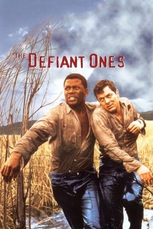 Image The Defiant Ones