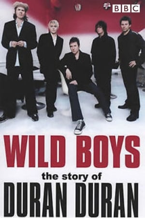 Image Wild Boys: The Story of Duran Duran