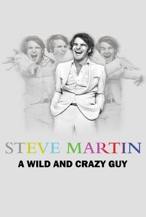 Image Steve Martin: A Wild and Crazy Guy