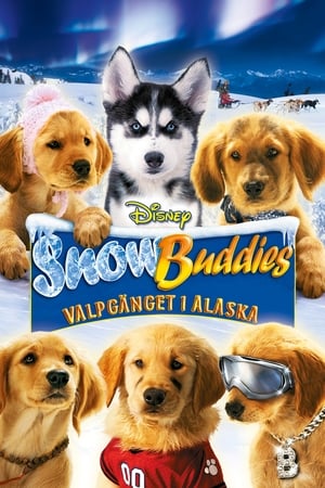 Image Snow Buddies: Valpgänget i Alaska