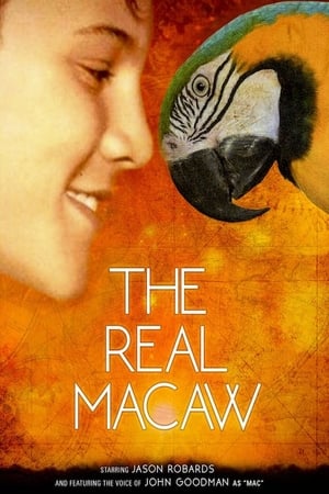 Image The Real Macaw