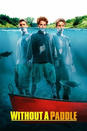 Image Without a Paddle