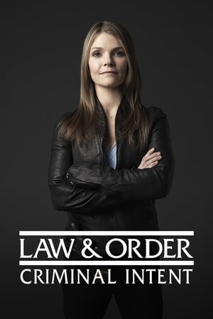 Image Law & Order: Criminal Intent