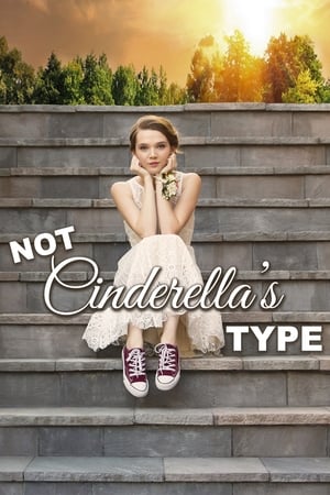 Image Not Cinderella's Type