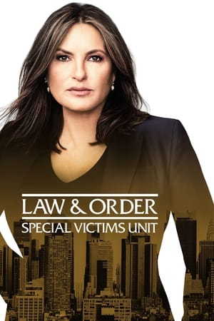 Image Law & Order: Special Victims Unit