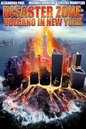Image Disaster Zone: Volcano in New York