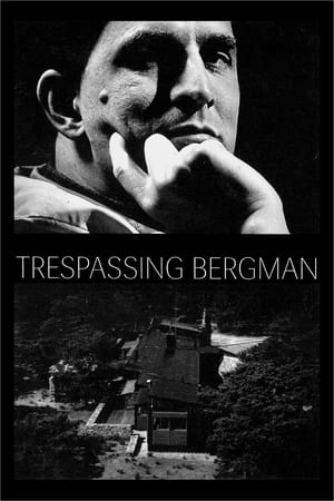 Image Trespassing Bergman
