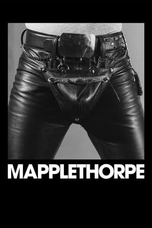 Image Mapplethorpe