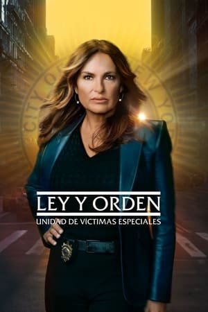 Poster Ley y orden: Unidad de Víctimas Especiales Temporada 7 Sin nombre 2005