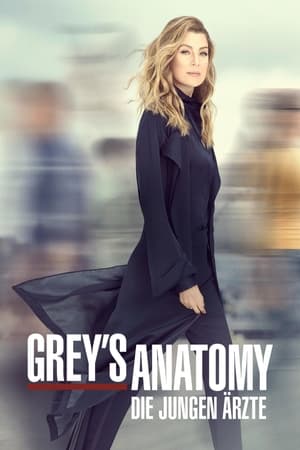 Poster Grey's Anatomy Staffel 13 2016