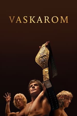 Poster Vaskarom 2023