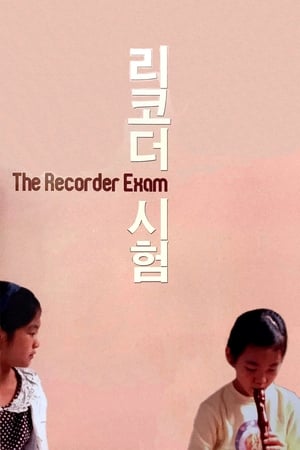 Poster The Recorder Exam 2011
