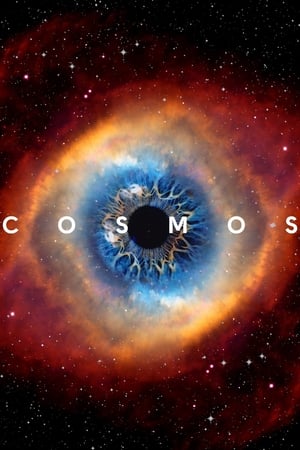 Image Cosmos: O odisee spațiu-timp