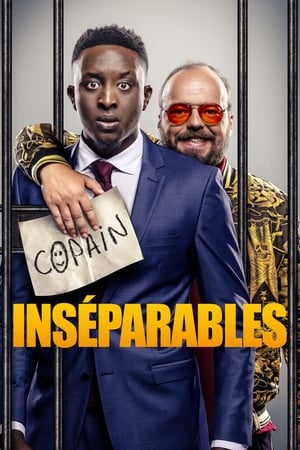 Poster Inséparables 2019