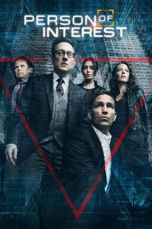 Poster Person of Interest 2011