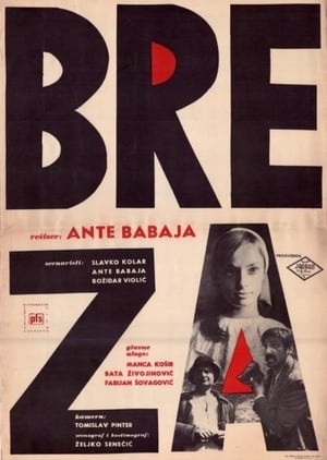 Poster Breza 1967