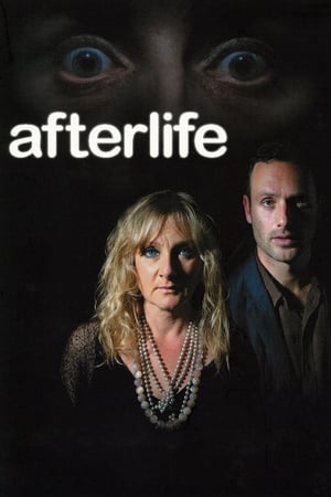 Poster Afterlife 2005