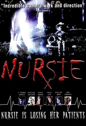 Poster Nursie 2004