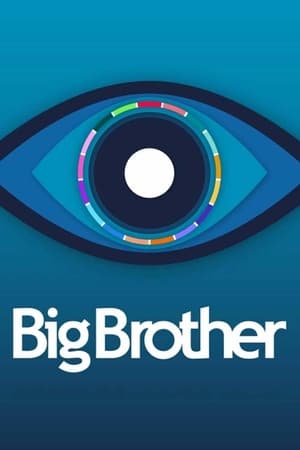Poster Big Brother Temporada 14 Episodio 86 2024
