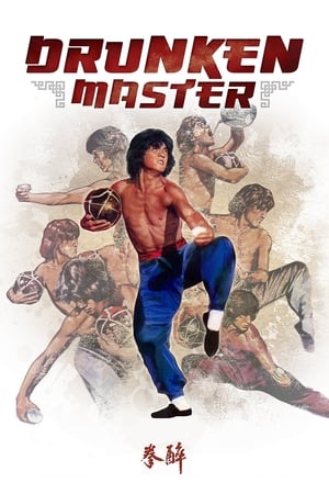 Poster Mistrův syn 1978