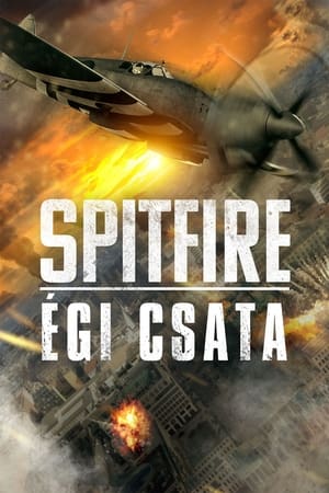 Poster Spitfire - Égi csata 2022