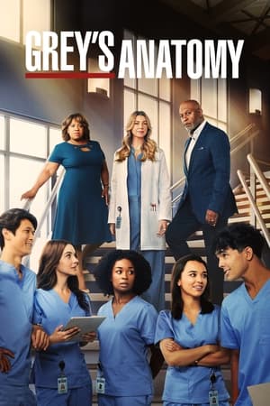 Poster Grey's Anatomy 2005