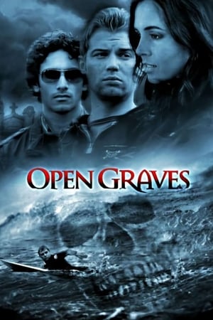 Poster Open Graves 2009