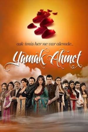Poster Yamak Ahmet 2011