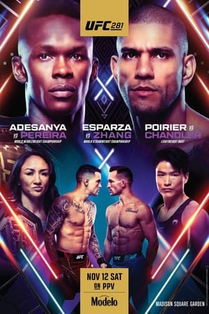 Image UFC 281: Adesanya vs. Pereira