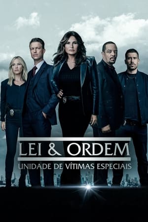 Poster Lei & Ordem: Unidade Especial Temporada 10 2008