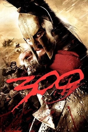 Poster 300 2007