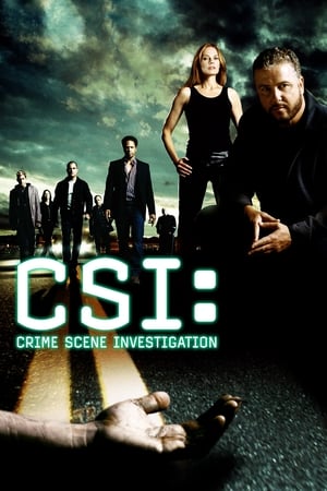 Image CSI: Місце злочину