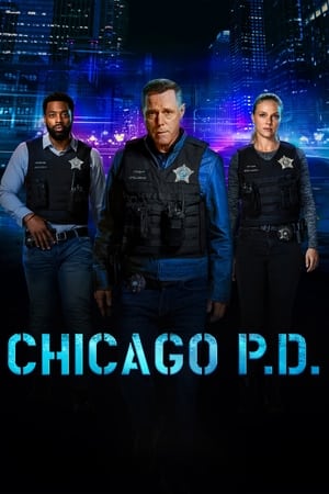 Poster Chicago P.D. 2014