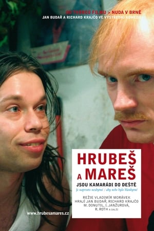 Poster Hrubeš a Mareš jsou kamarádi do deště 2004
